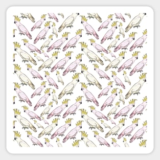 Cockatoo Pattern - Australian Native Birds Sticker